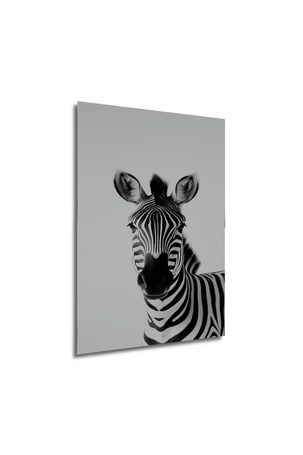 Zebra Siyah Beyaz Dekoratif Ahşap MDF Ev/İşyeri Duvar Tablo Dikdörtgen Ev/İşyeri Duvar Tablo - 4