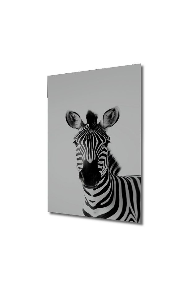 Zebra Siyah Beyaz Dekoratif Ahşap MDF Ev/İşyeri Duvar Tablo Dikdörtgen Ev/İşyeri Duvar Tablo - 3