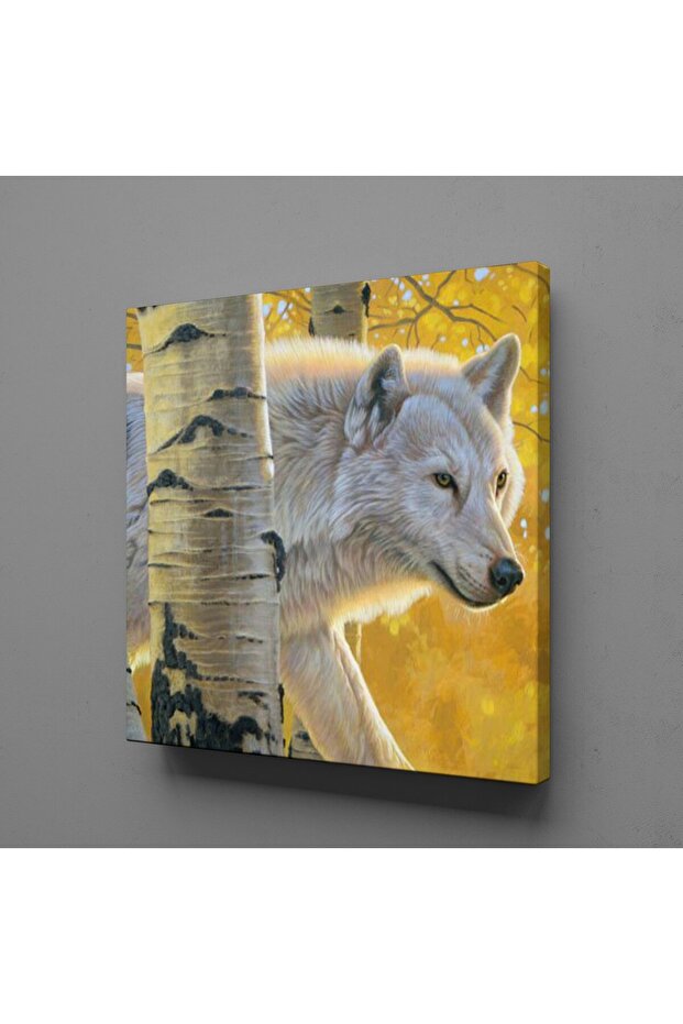 Beyaz Kurt Kanvas Tablo 100x100cm