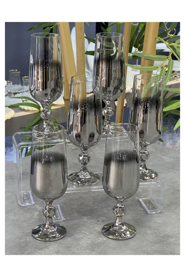 Czechoslavia Crystal 6-Piece Titanium Silver Coffee Glass