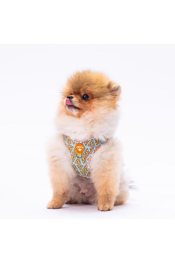 Pizza Leash & Air-Mesh Kedi Köpek Tasma ve Gezdirme Kayışı Seti Tasma Seti - 3
