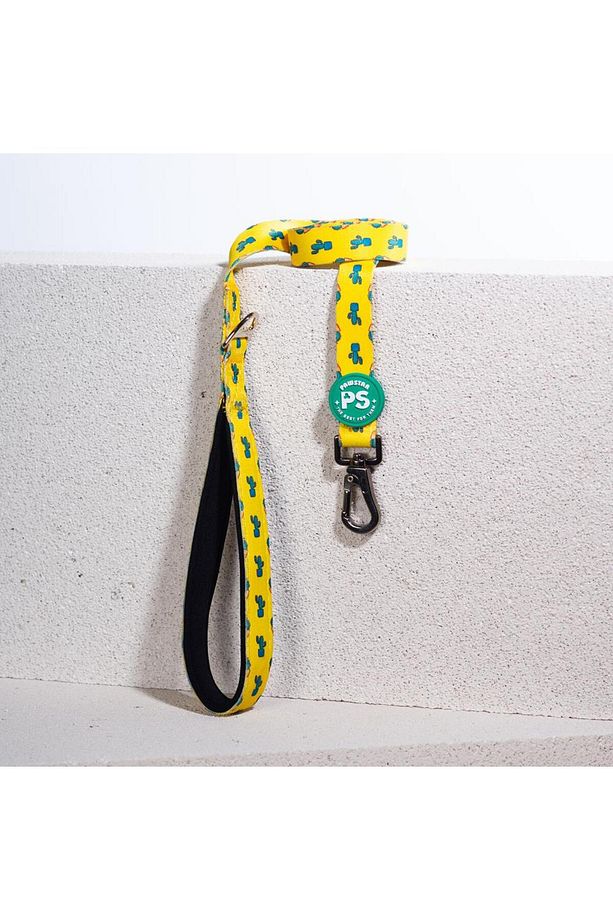 Cactus Leash & Air-Mesh Kedi Köpek Tasma ve Gezdirme Kayışı Seti Tasma Seti - 4