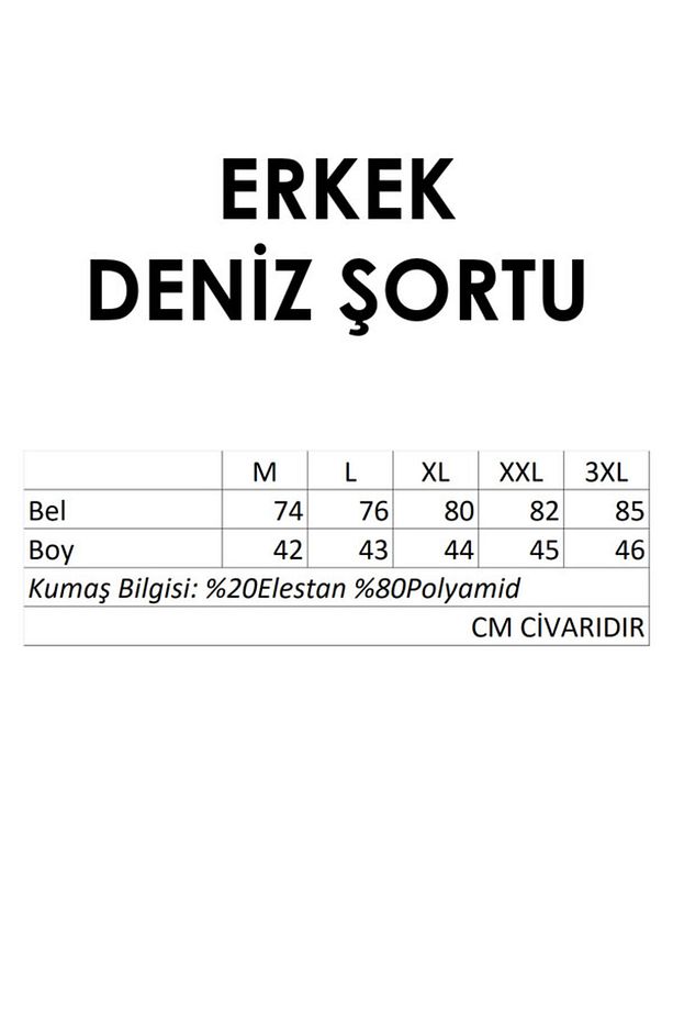 Erkek Deniz Havuz Şortu Desenli Raul S266 Mavi - 3
