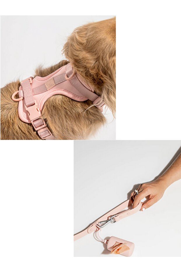 Çok Fonksiyonlu 4 Parça Köpek Tasması Gezdirme Seti Su Geçirmez Rulo Dışkı Poşeti Hediyelidir - 5