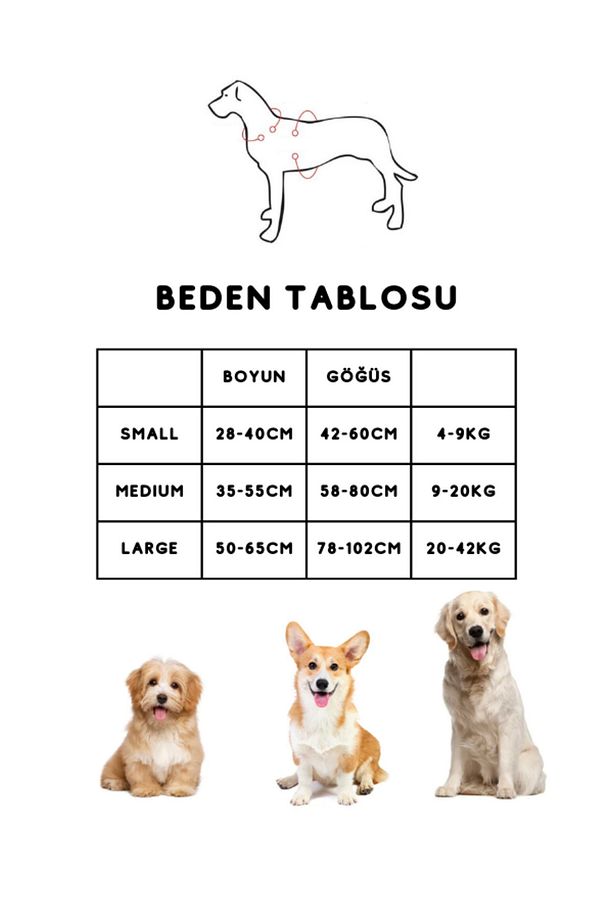 Çok Fonksiyonlu 4 Parça Köpek Tasması Gezdirme Seti Su Geçirmez Rulo Dışkı Poşeti Hediyelidir - 3