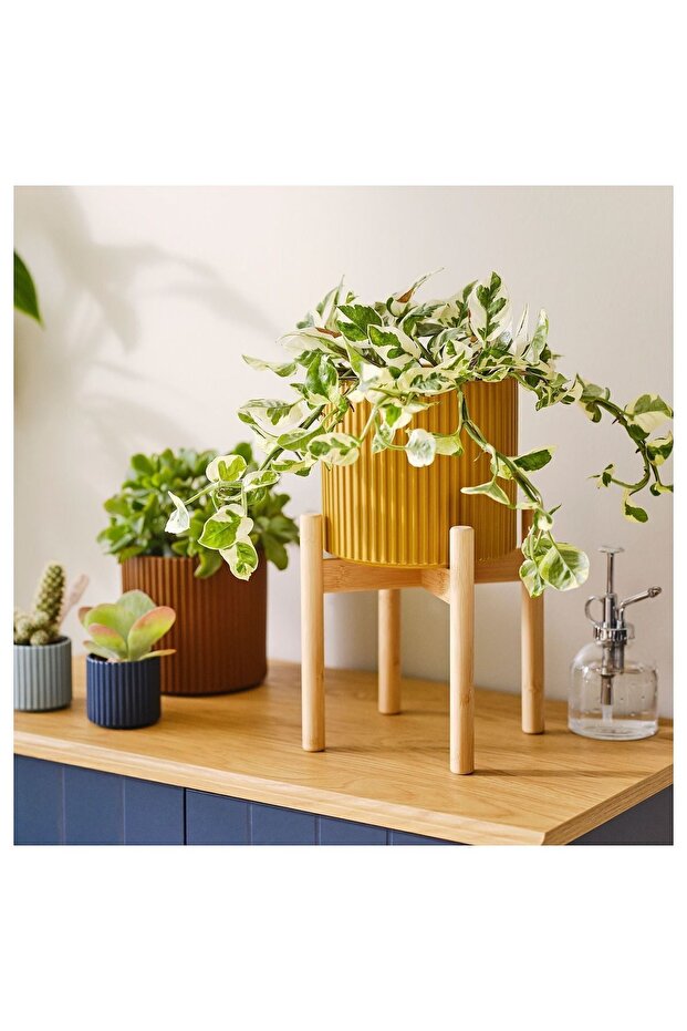 DAKSJUS çiçeklik, bambu, 21 cm - 3