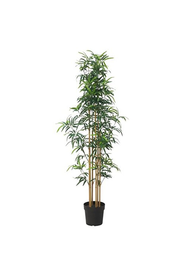 FEJKA yapay bitki, 23 cm - 1