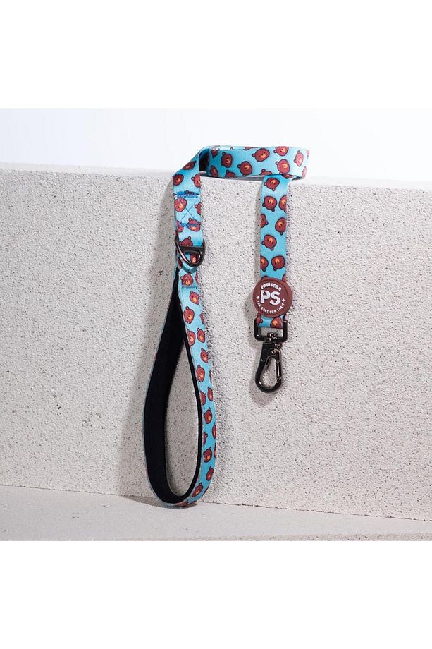 Bears Leash & Air-Mesh Kedi Köpek Tasma ve Gezdirme Kayışı Seti Tasma Seti - 4