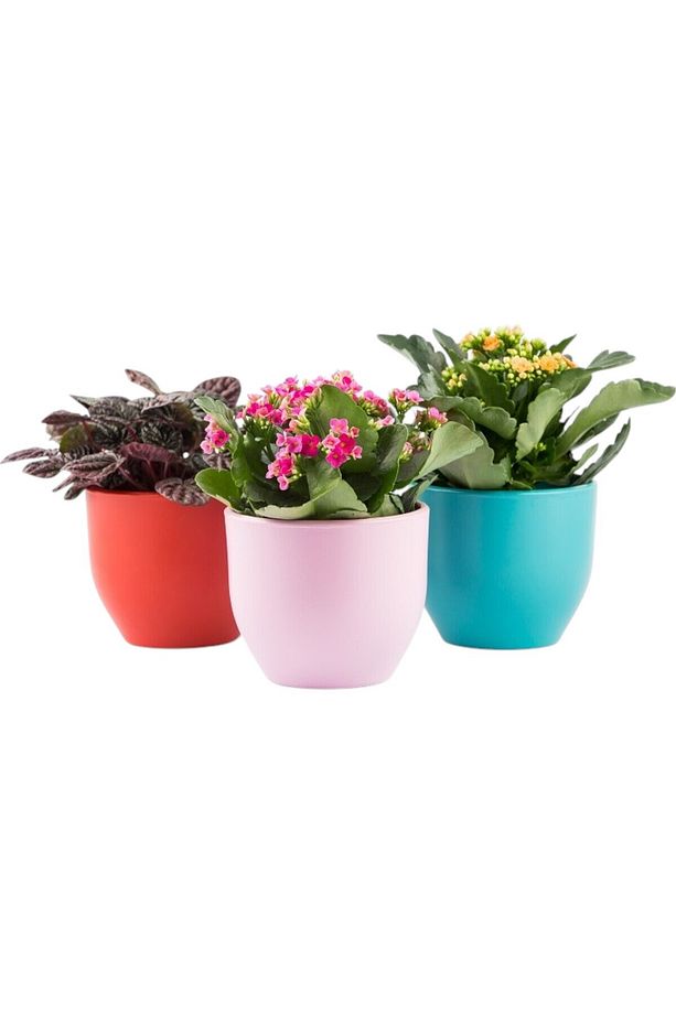 4 Adet Roma Toprak Saksı Deliksiz Tabaksız Çömlek 14x12 1000ml - 4