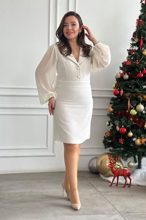 Chiffon Jacket Collar Silvery Tweed Dress with Sleeves