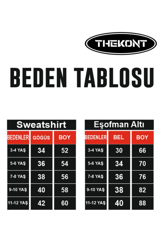 Lightning Mcqueen Printed Team - 3