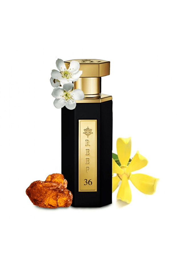 Parfüm Reef 36 - Eau de Parfum 100ml - 2