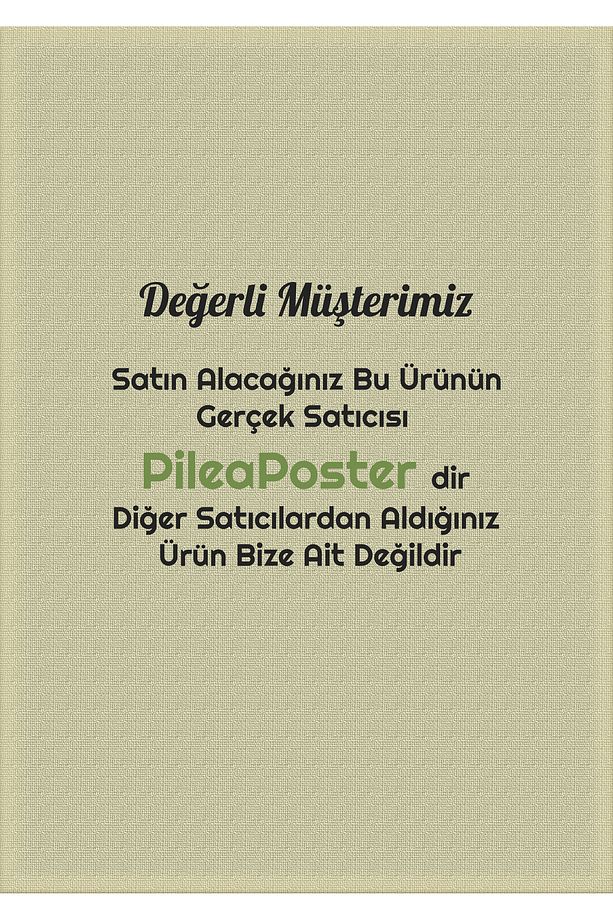 Dekoratif Boho Bal Kabakları 3 adet|Kabak Biblo|masaüstü dekor|dekoratif kabak|dekoratif obje|dekor - 3