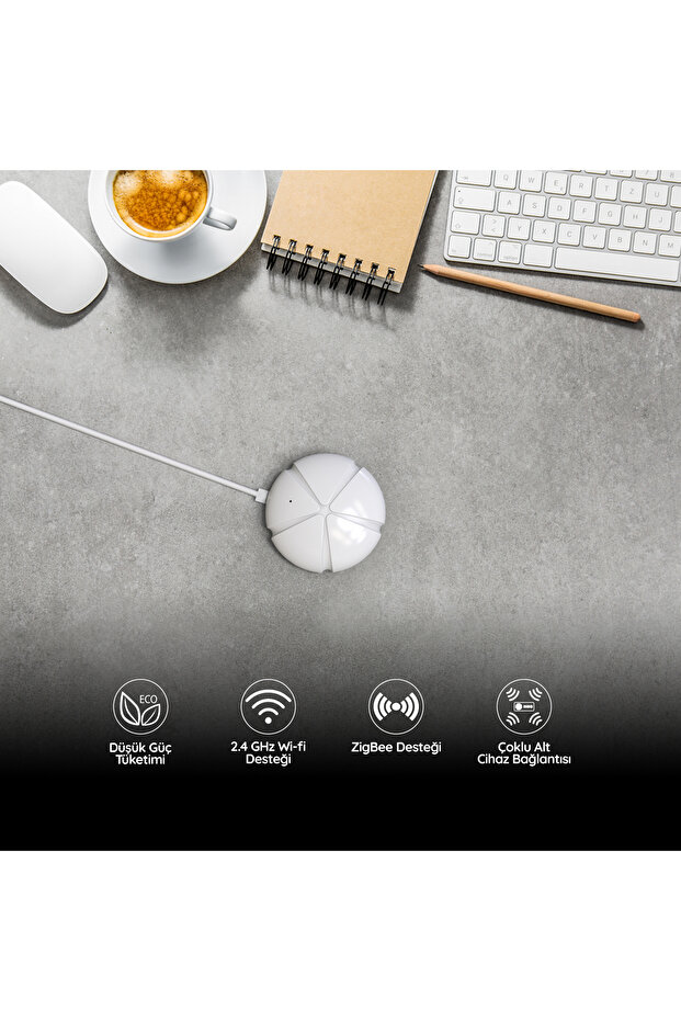 Link Zigbee Ağ Geçidi - 2