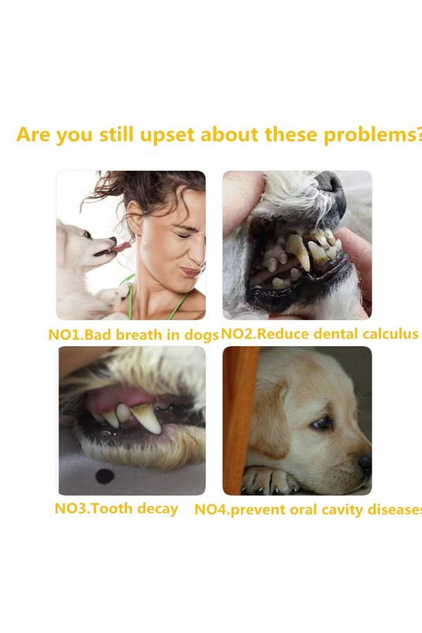 Kedi Köpek Diş Fırçası ve Diş Macunu Seti Yenilebilir Diş Macunu Dental Kit Ağız ve Diş Sağlık Seti - 3