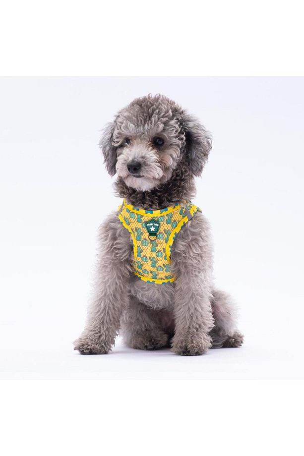 Cactus Leash & Air-Mesh Kedi Köpek Tasma ve Gezdirme Kayışı Seti Tasma Seti - 3