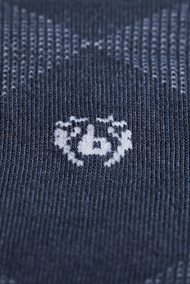 Erkek Bambu Desenli Çorap ANTRAGRİ - 2