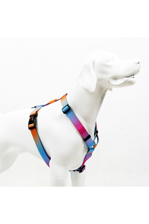 Pass H-tipi Göğüs Tasması Ayarlanabilir, Konforlu Ve Dayanıklı Desenli Köpek Tasması - 1