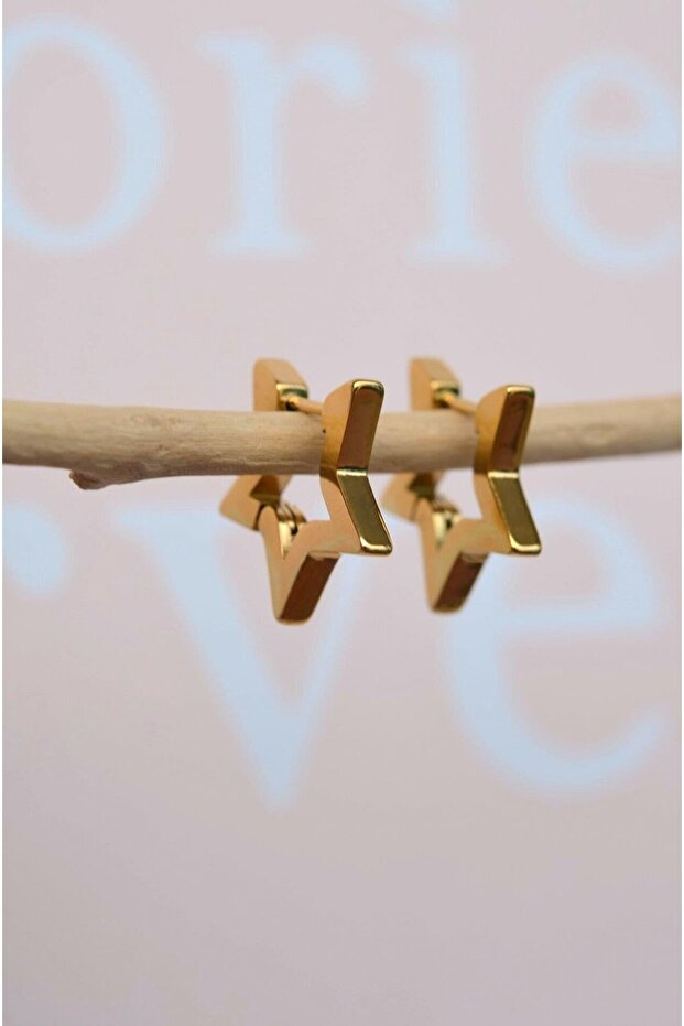 Steel Star Earrings