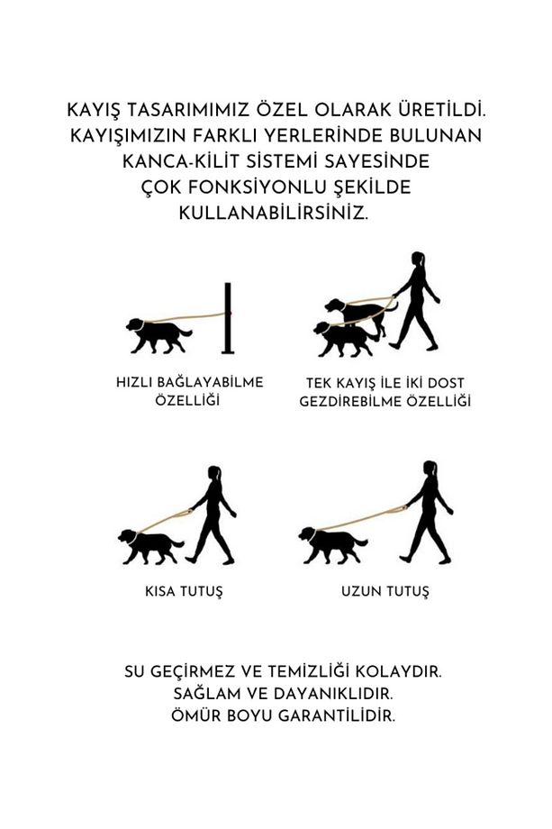 Çok Fonksiyonlu 4 Parça Köpek Tasması Gezdirme Seti Su Geçirmez Rulo Dışkı Poşeti Hediyelidir - 2