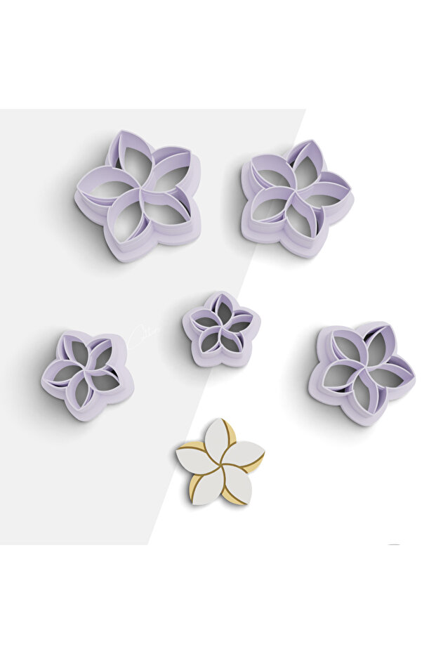 Plumeria Flower Polymer Clay Mold, Earring Mold, Clay Cutter, 5 Sizes, No:1020
