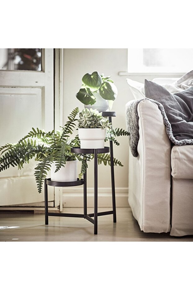 Olıvblad Çiçeklik, Siyah - 1