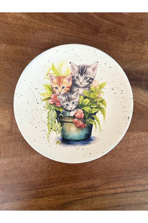 Saksıdaki Kediler 18 cm Duvar Tabağı, Dekorasyon, Mutfak, Balkon - 4