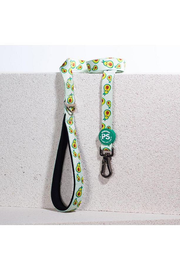 Avocado Leash & Air-Mesh Kedi Köpek Tasma ve Gezdirme Kayışı Seti Tasma Seti - 4