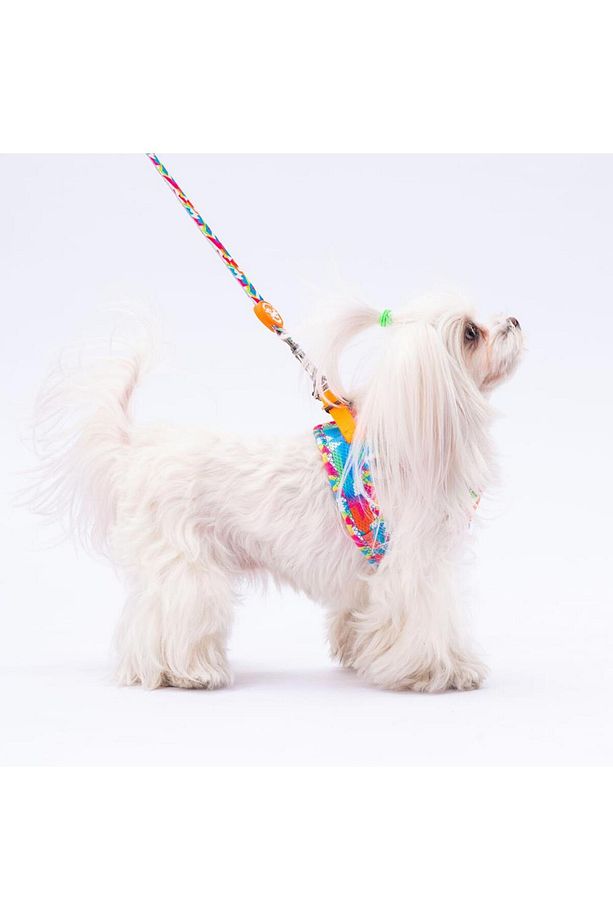 Mosaic Leash & Air-Mesh Kedi Köpek Tasma ve Gezdirme Kayışı Seti Tasma Seti - 1