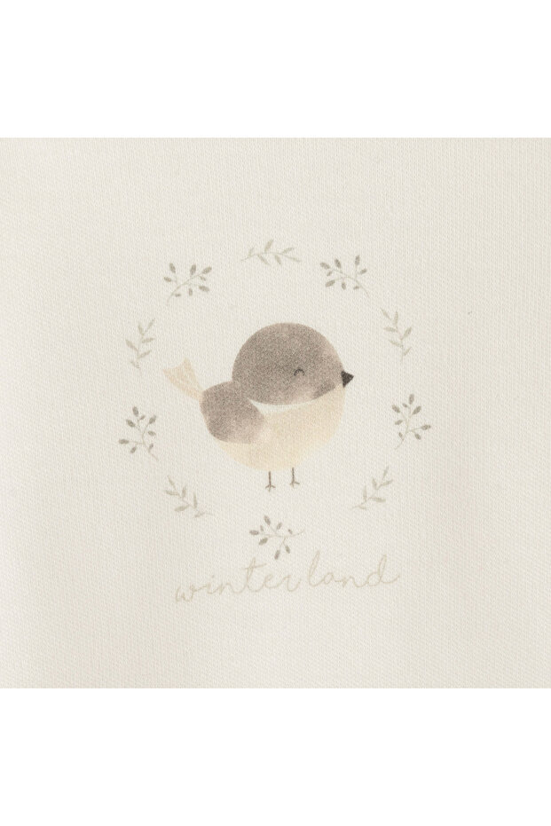 Winterland 3'lü Body Set EKRU/MINT - 3