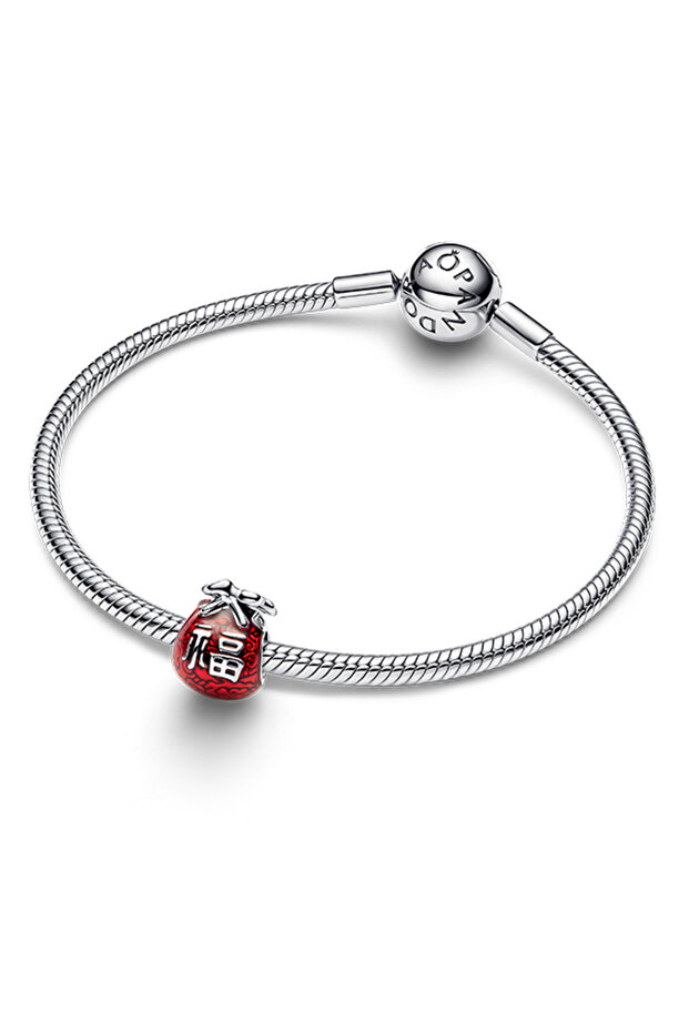 Şanslı Çanta Charm - 2