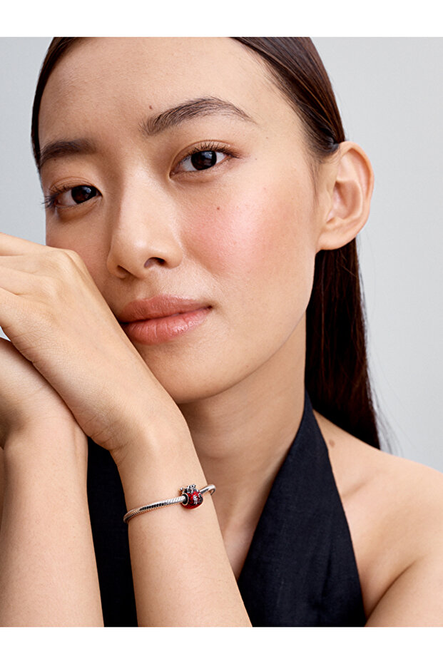 Şanslı Çanta Charm - 3