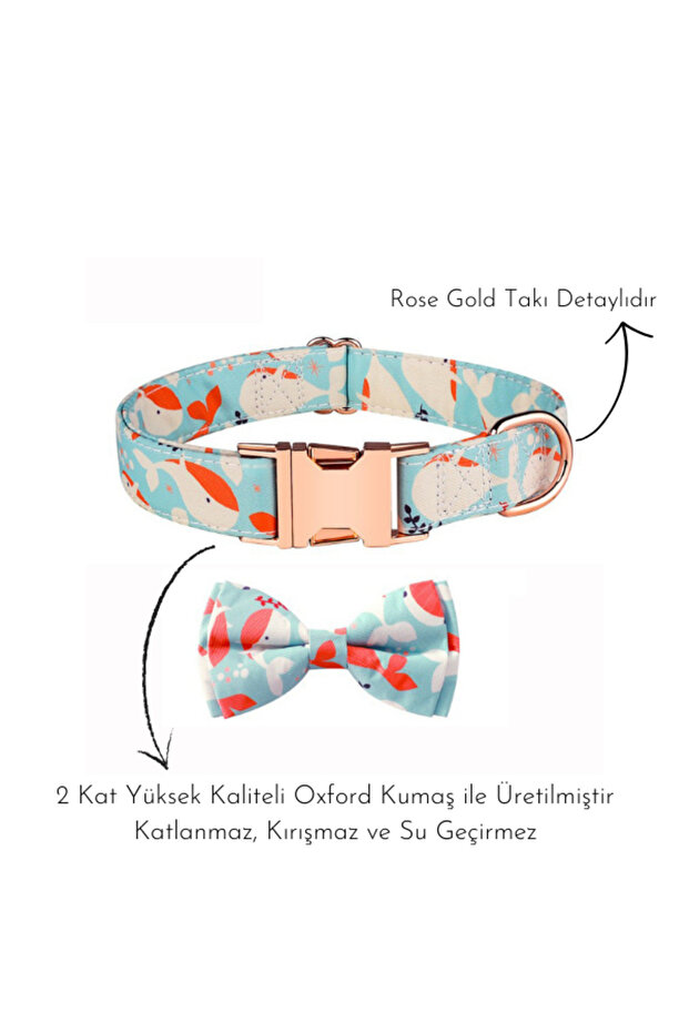 طوق كلب منقوش مع ربطة عنق - 2