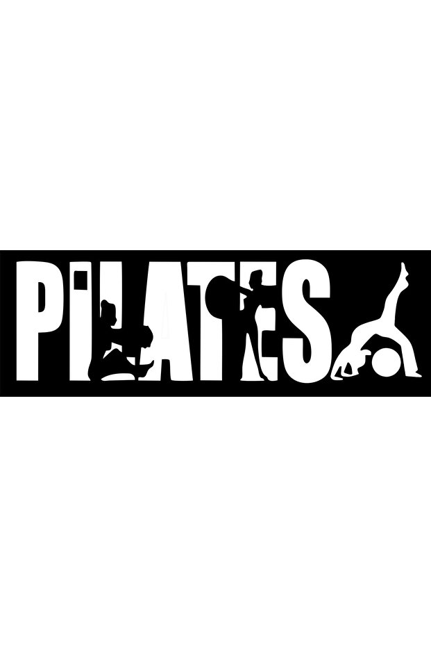 PLATES WALL AUTO STİCKER(115X35CM )