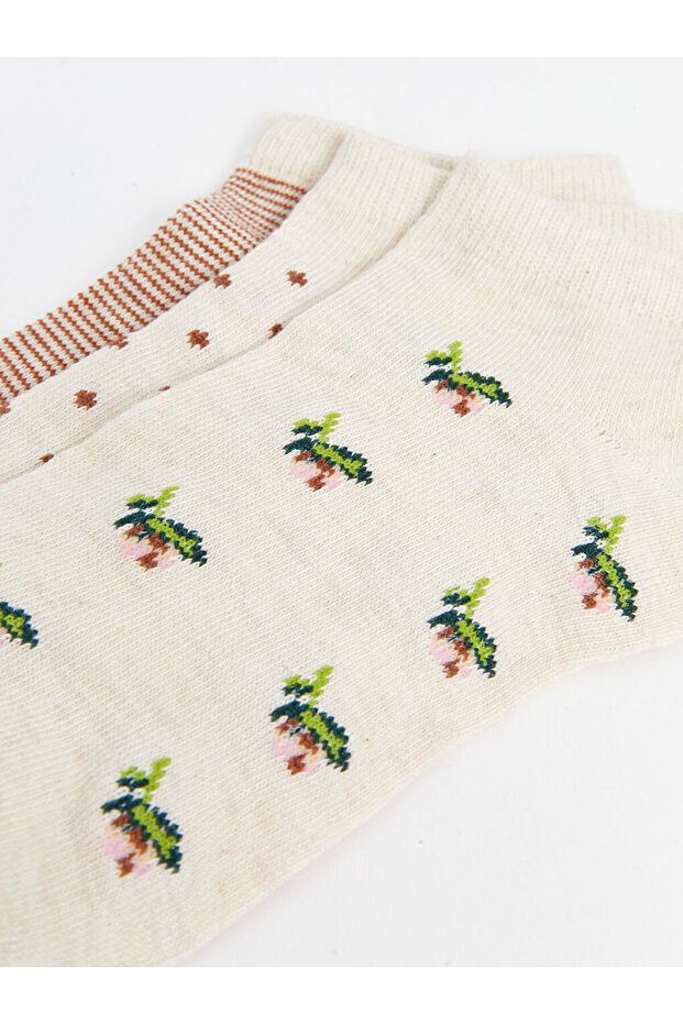 CRPP,T-3 NARCISO - 3