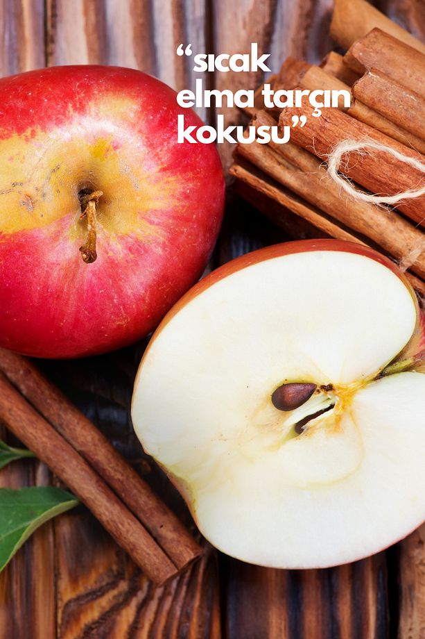 Nature's Scents Apple Cinnamon - Elma Tarçın Oda Kokusu Yedek Makine Spreyi 250 ml - 3