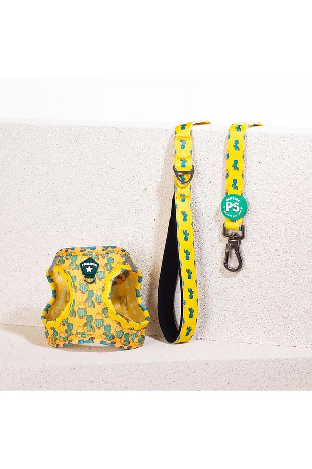 Cactus Leash & Air-Mesh Kedi Köpek Tasma ve Gezdirme Kayışı Seti Tasma Seti - 2