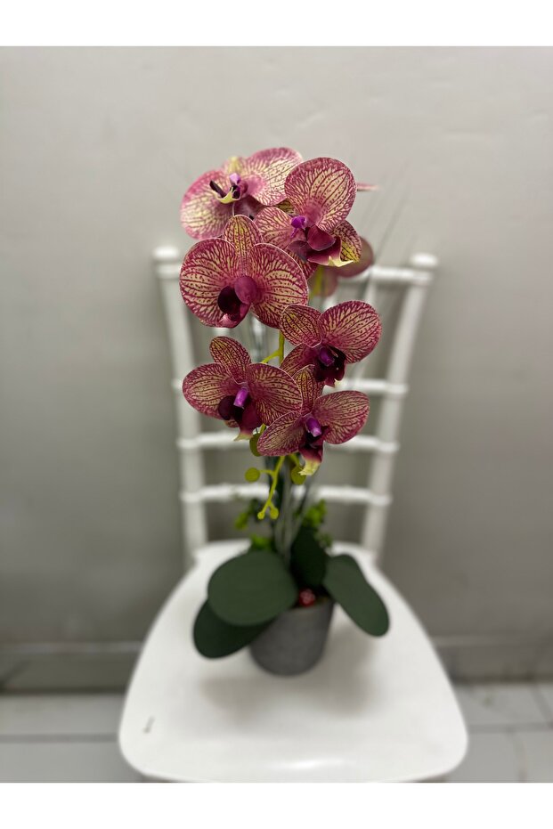 Yapay Lüx orkide - 1