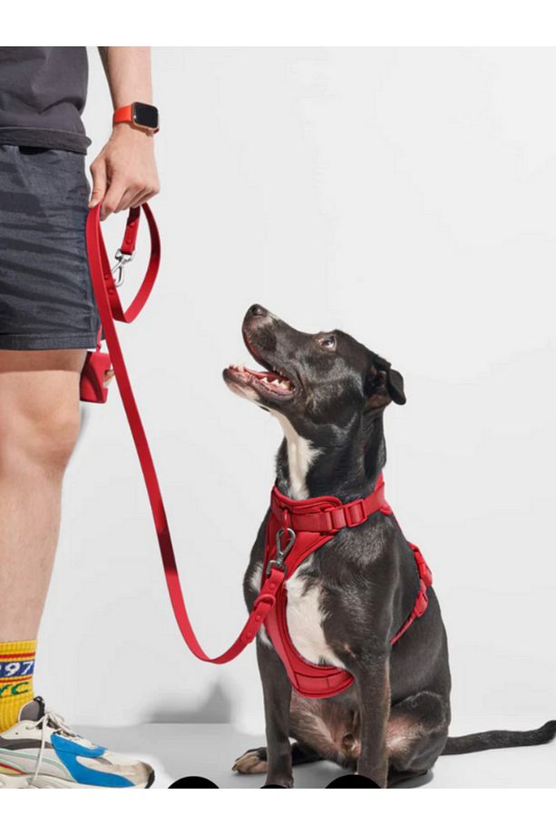 Çok Fonksiyonlu 4 Parça Köpek Tasması Gezdirme Seti Su Geçirmez Rulo Dışkı Poşeti Hediyelidir - 6