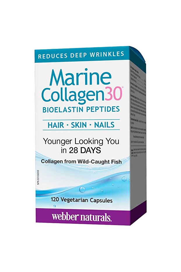 Webber Natural Collagen30 Marine Caps 120S