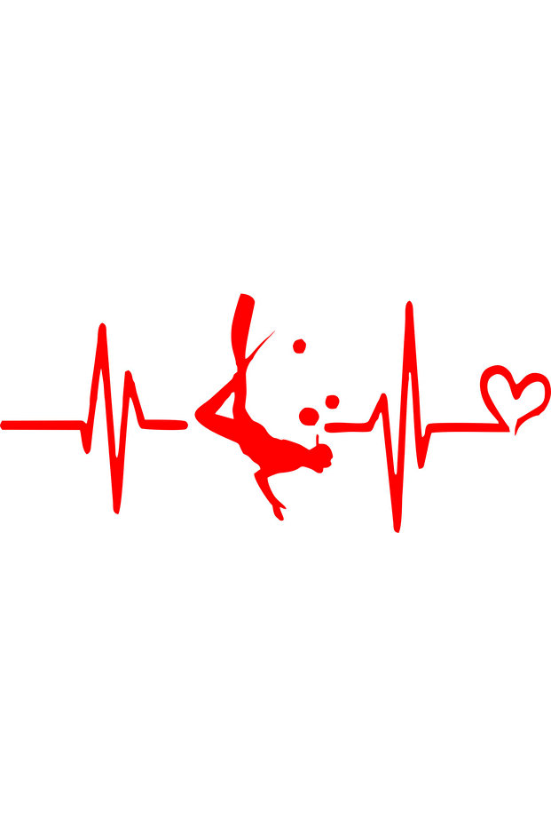 Submersible Pulse Auto Sticker(26X11Cm)