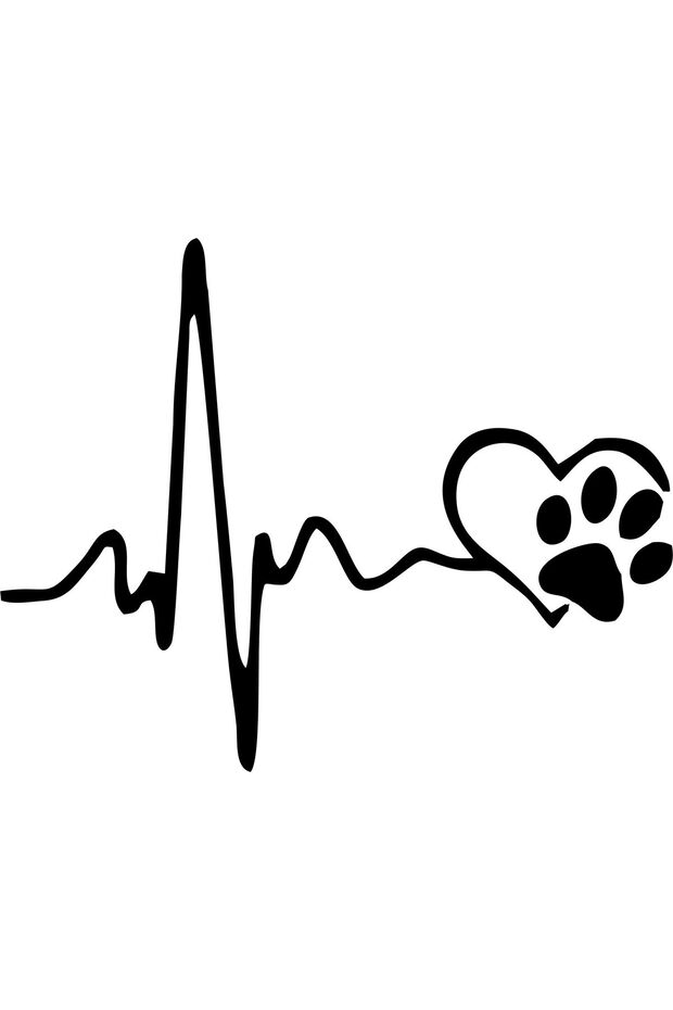 PAW PULSE AUTO STYCKER (18X14CM)