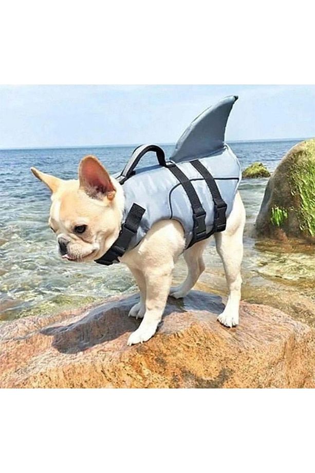 Köpek Can Yeleği Shark - 5