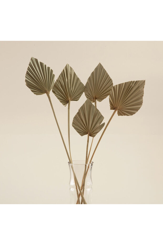 Ella Demet Kuru Çiçek Natural - 1