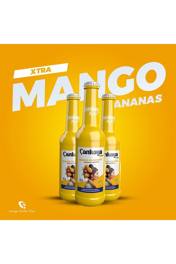 Çankaya Mango Ananas 250 ml (6 adet) - 2