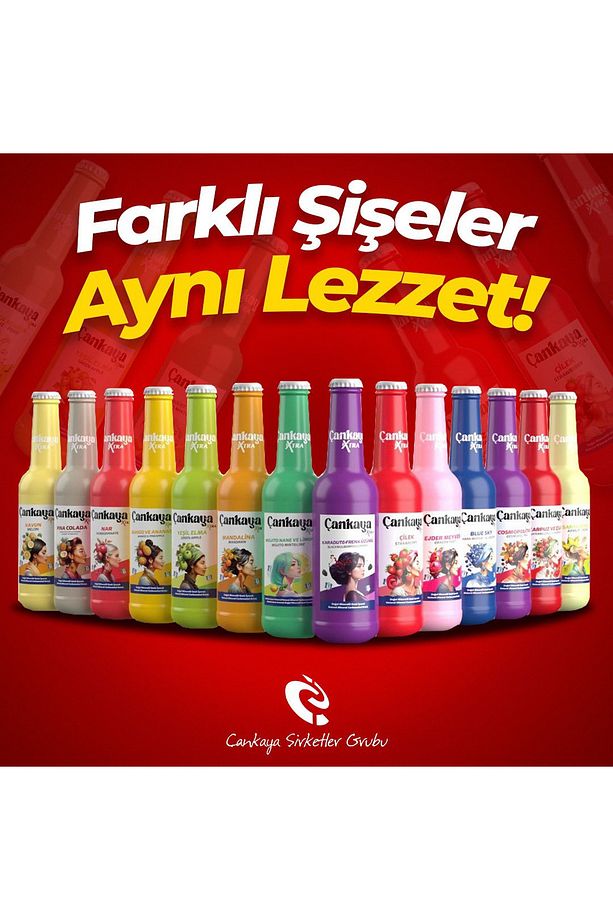 Çankaya Mango Ananas 250 ml (6 adet) - 3