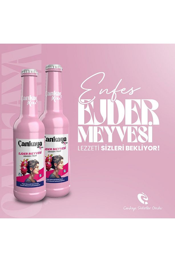 Çankaya Ejder Meyvesi 250 ml (6 adet) - 2