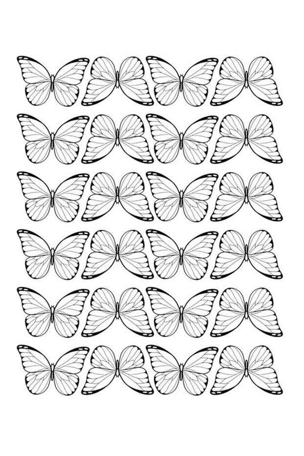 Shiny Thick 220Gr Photo Paper for Butterfly Bouquet Large Size 30 Pieces White