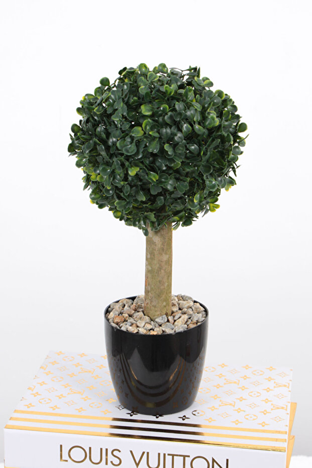 Mini Ball Boxwood in Pot 32 cm
