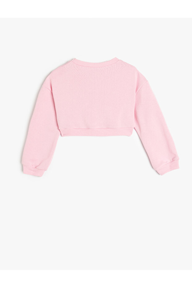 Crew Neck Long Sleeve Basic Crop Sweatshirt - 2